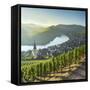 View of River Moselle, Bremm, Rhineland-Palatinate, Germany-Ian Trower-Framed Stretched Canvas