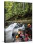 View of River near Arethusa Falls, White Mountains, New Hampshire, USA-Massimo Borchi-Stretched Canvas