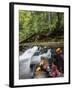 View of River near Arethusa Falls, White Mountains, New Hampshire, USA-Massimo Borchi-Framed Photographic Print