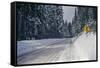 View of road between forest at winter day-Panoramic Images-Framed Stretched Canvas