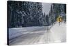 View of road between forest at winter day-Panoramic Images-Stretched Canvas