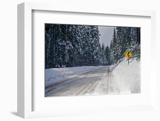 View of road between forest at winter day-Panoramic Images-Framed Photographic Print