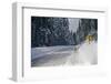 View of road between forest at winter day-Panoramic Images-Framed Photographic Print