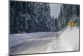 View of road between forest at winter day-Panoramic Images-Mounted Photographic Print