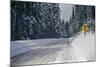 View of road between forest at winter day-Panoramic Images-Mounted Photographic Print