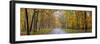 View of road in forest, Stephen A. Forbes State Park, Marion Co., Illinois, USA-Panoramic Images-Framed Photographic Print