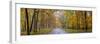 View of road in forest, Stephen A. Forbes State Park, Marion Co., Illinois, USA-Panoramic Images-Framed Photographic Print