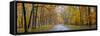 View of road in forest, Stephen A. Forbes State Park, Marion Co., Illinois, USA-Panoramic Images-Framed Stretched Canvas