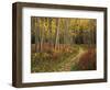 View of Road, Louisville, Kentucky, USA-Adam Jones-Framed Photographic Print