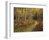 View of Road, Louisville, Kentucky, USA-Adam Jones-Framed Photographic Print