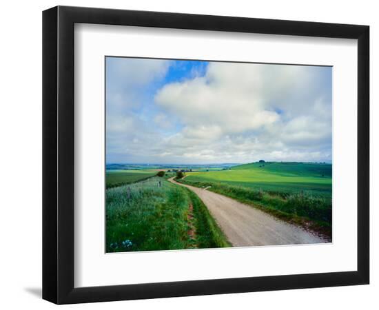 Premium Photographic Print, , large