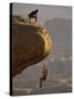 View of Rock Climbers on the Edge of a Cliff-null-Stretched Canvas