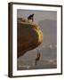 View of Rock Climbers on the Edge of a Cliff-null-Framed Photographic Print