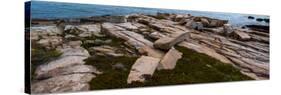 View of rocks at coast, Acadia National Park, Maine, USA-null-Stretched Canvas