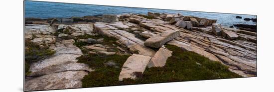 View of rocks at coast, Acadia National Park, Maine, USA-null-Mounted Photographic Print