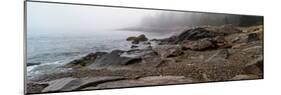 View of rocks at coast, Acadia National Park, Maine, USA-null-Mounted Photographic Print