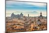 View of Rome from Castel Sant'angelo-S Borisov-Mounted Photographic Print