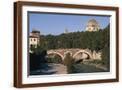 Brown Frame