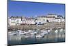 View of Rosmeur Fishing Port, Douarnenez, Finistere, Brittany, France, Europe-Markus Lange-Mounted Photographic Print