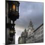 View of Royal Liver Building from India Building on Water Street, Liverpool, Merseyside, England-Paul McMullin-Mounted Photo