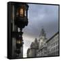 View of Royal Liver Building from India Building on Water Street, Liverpool, Merseyside, England-Paul McMullin-Framed Stretched Canvas