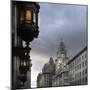 View of Royal Liver Building from India Building on Water Street, Liverpool, Merseyside, England-Paul McMullin-Mounted Photo