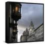 View of Royal Liver Building from India Building on Water Street, Liverpool, Merseyside, England-Paul McMullin-Framed Stretched Canvas