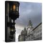 View of Royal Liver Building from India Building on Water Street, Liverpool, Merseyside, England-Paul McMullin-Stretched Canvas