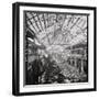 View of Ruins of Tank Factory-null-Framed Photographic Print