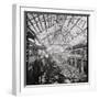 View of Ruins of Tank Factory-null-Framed Photographic Print