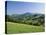 View of Rural Landscape, Pyrenees-Atlantiques, Pays-Basque, France-David Barnes-Stretched Canvas