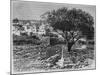 View of Safed, from 'La Syrie D'Aujourd'Hui. Voyages Dans La Phenicie, Le Liban Et La Judee.…-null-Mounted Giclee Print