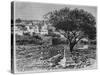 View of Safed, from 'La Syrie D'Aujourd'Hui. Voyages Dans La Phenicie, Le Liban Et La Judee.…-null-Stretched Canvas