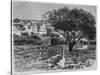 View of Safed, from 'La Syrie D'Aujourd'Hui. Voyages Dans La Phenicie, Le Liban Et La Judee.…-null-Stretched Canvas