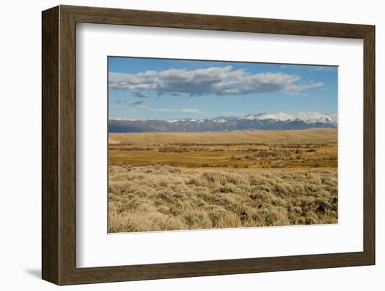 View of sagebrush prairie habitat, with distant mountain range, Walden, Colorado-Chris & Tilde Stuart-Framed Photographic Print