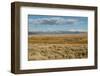 View of sagebrush prairie habitat, with distant mountain range, Walden, Colorado-Chris & Tilde Stuart-Framed Photographic Print