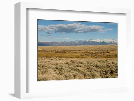 View of sagebrush prairie habitat, with distant mountain range, Walden, Colorado-Chris & Tilde Stuart-Framed Photographic Print