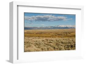 View of sagebrush prairie habitat, with distant mountain range, Walden, Colorado-Chris & Tilde Stuart-Framed Photographic Print