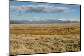 View of sagebrush prairie habitat, with distant mountain range, Walden, Colorado-Chris & Tilde Stuart-Mounted Photographic Print