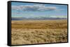 View of sagebrush prairie habitat, with distant mountain range, Walden, Colorado-Chris & Tilde Stuart-Framed Stretched Canvas