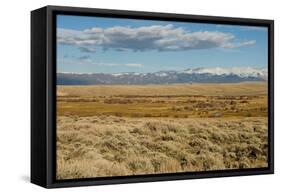 View of sagebrush prairie habitat, with distant mountain range, Walden, Colorado-Chris & Tilde Stuart-Framed Stretched Canvas