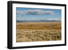 View of sagebrush prairie habitat, with distant mountain range, Walden, Colorado-Chris & Tilde Stuart-Framed Photographic Print