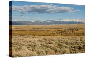 View of sagebrush prairie habitat, with distant mountain range, Walden, Colorado-Chris & Tilde Stuart-Stretched Canvas