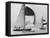 View of Sailboats During the America's Cup Trials-George Silk-Framed Stretched Canvas