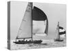 View of Sailboats During the America's Cup Trials-George Silk-Stretched Canvas