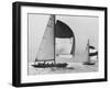 View of Sailboats During the America's Cup Trials-George Silk-Framed Photographic Print