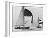 View of Sailboats During the America's Cup Trials-George Silk-Framed Photographic Print