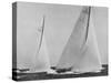 View of Sailboats Intrepid and Columbia During the America's Cup Trials-George Silk-Stretched Canvas