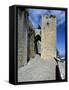 View of Saint Catalina's Castle, Jaen, Andalusia, Spain, 13th-14th Century-null-Framed Stretched Canvas