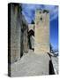 View of Saint Catalina's Castle, Jaen, Andalusia, Spain, 13th-14th Century-null-Stretched Canvas